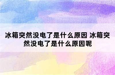 冰箱突然没电了是什么原因 冰箱突然没电了是什么原因呢